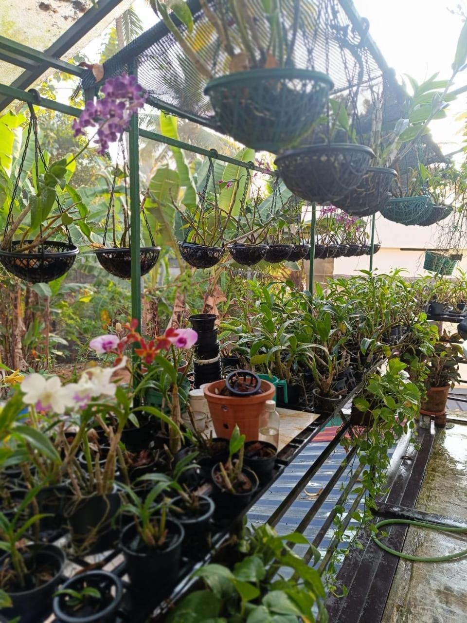 Chaithritha Ladies Homestay Thiruvananthapuram Eksteriør billede