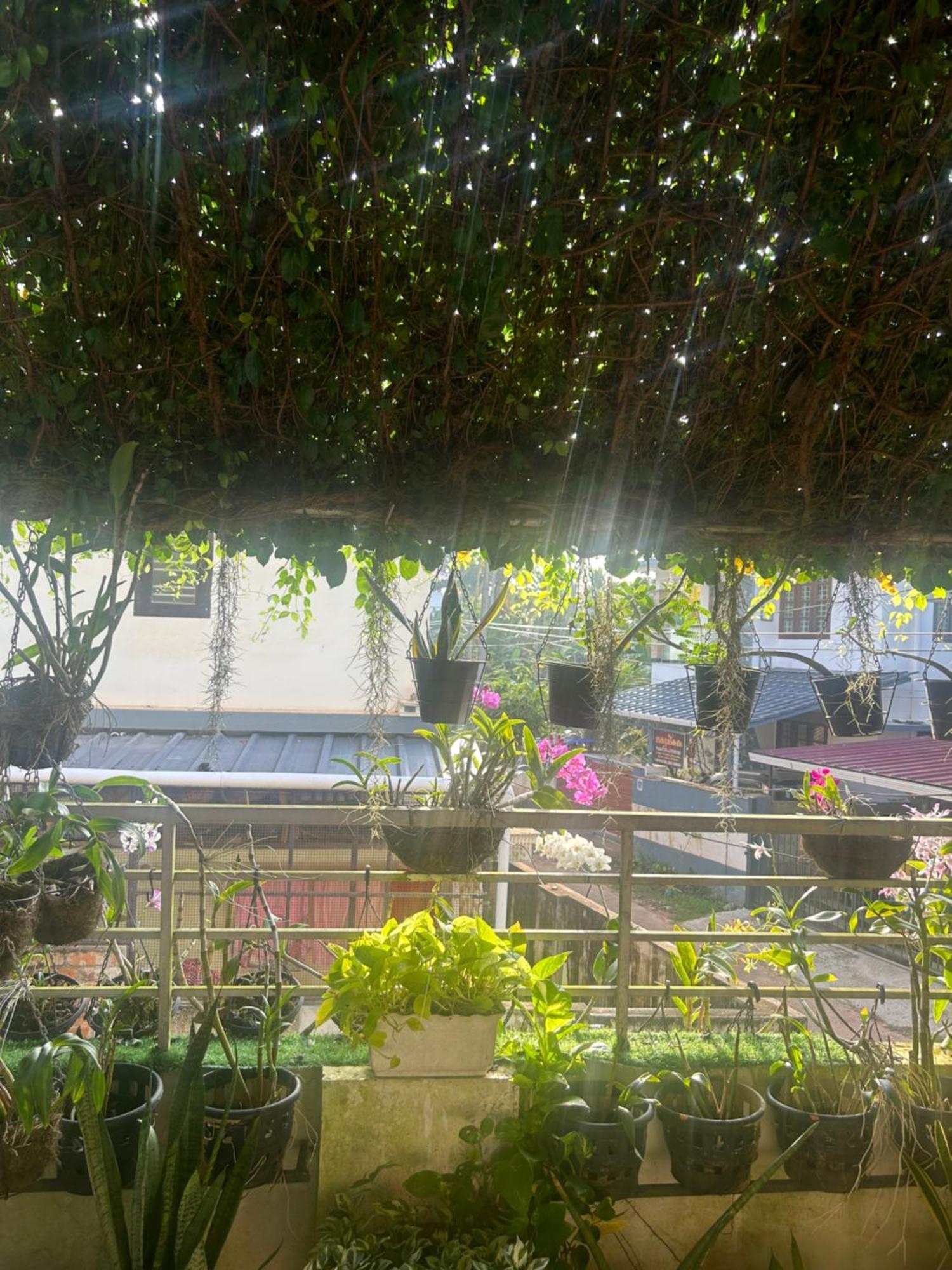 Chaithritha Ladies Homestay Thiruvananthapuram Eksteriør billede